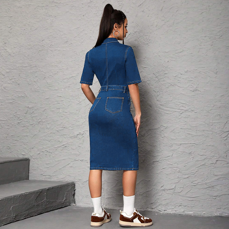 Women Long Dress Turn Down Col - Wrap Dress Work avis et prix