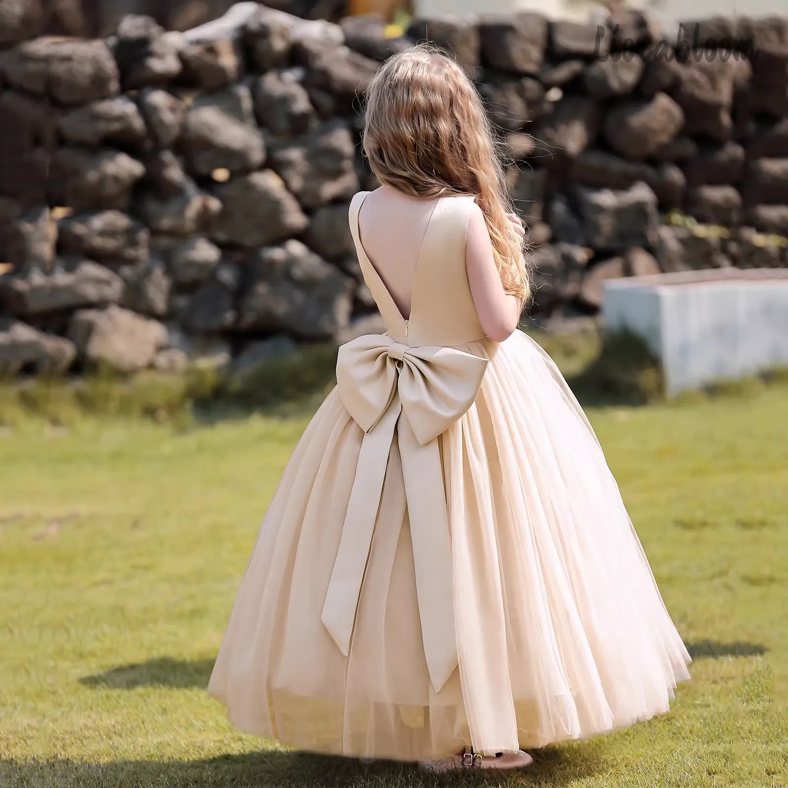 Multicolor Backless Princess D - Formal Wear Women Us avis et prix