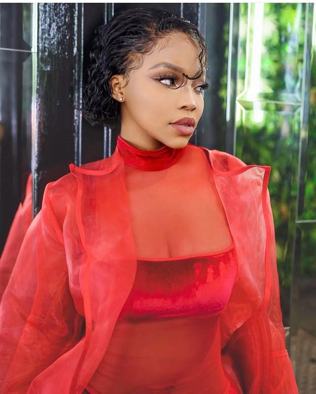 Red Organza See Through Long C - Women Formal Wear Vest avis et prix